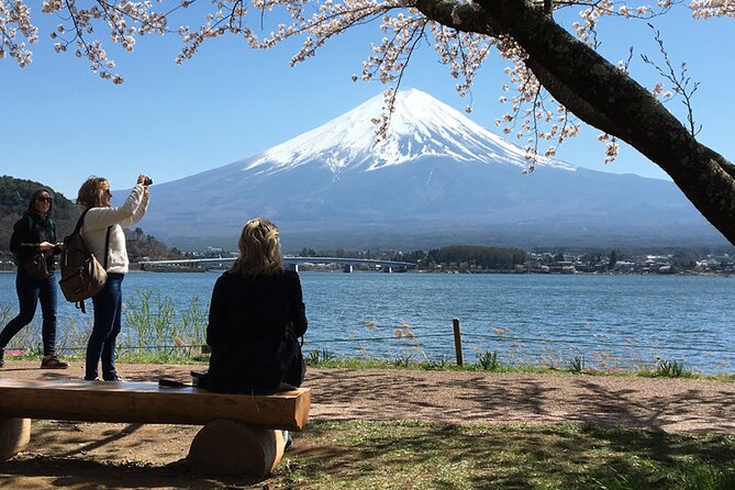 Mount Fuji and Hakone Private Tour With English Speaking Driver - Just The Basics