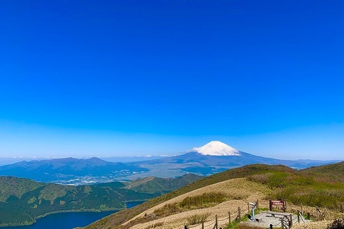 Mt. Fuji & Hakone Bullet Train 1 Day Tour From Tokyo Station Area