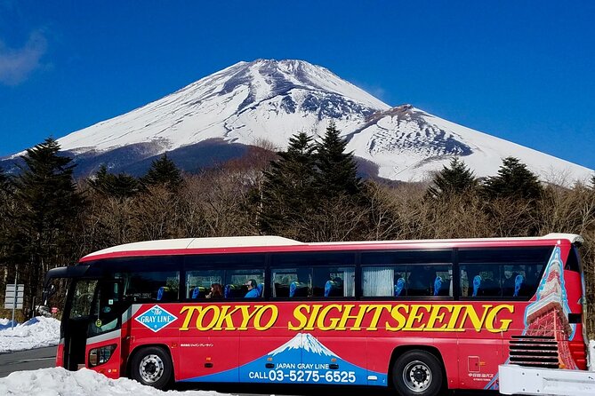 Mt. Fuji & Hakone Tour Tokyo Hotel Pick-Up & Drop-Off by Grayline - Just The Basics