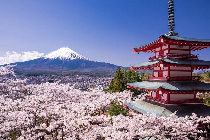 Mt. Fuji View and 2hours+ Free Time at Gotemba Premium Outlets - Just The Basics