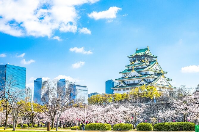 Osaka Highlight Private Tour: Osaka Castle, Dotonbori, Namba Etc. - Just The Basics