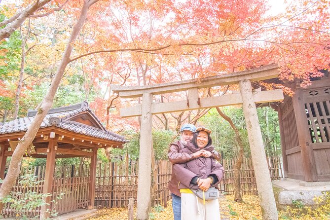 Private Car Tour Lets Uncover Secrets of Majestic Kyoto History - Just The Basics