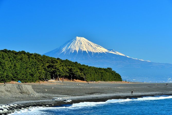 Shizuoka/Shimizu Mt Fuji View 6 Hr Private Tour: Guide Only - Just The Basics