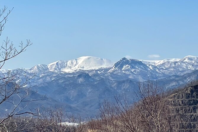 Snowshoeing Adventures in a Winter Wonderland - Sapporo - Just The Basics