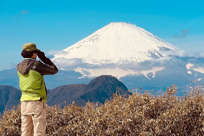 Traverse Outer Rim of Hakone Caldera and Enjoy Onsen Hiking Tour