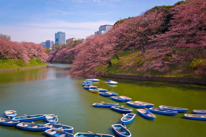 Custom 2-Day Tour: Mt Fuji and Tokyo Private Car & English Driver