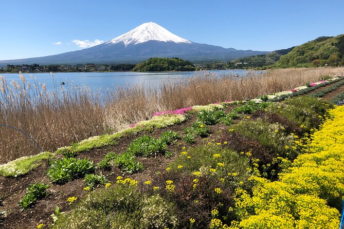 Mt.Fuji (Plus Gotemba)Tour , From/To Tokyo&Yokohama, up to 12