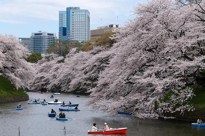 Tokyo Like a Local: Customized Private Tour