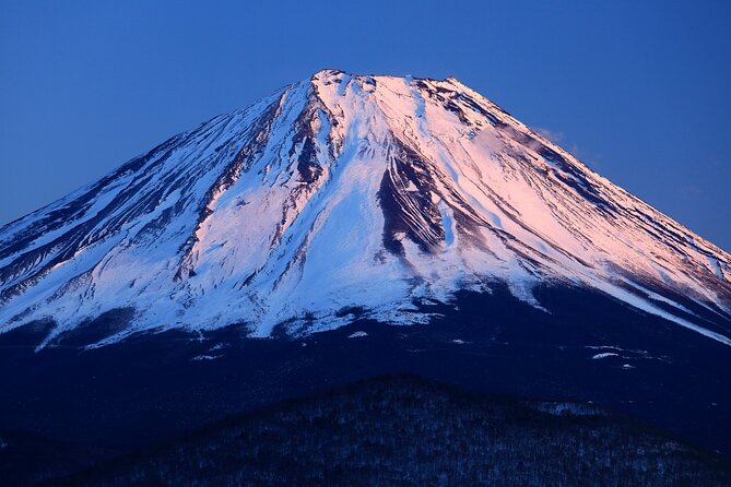 Tokyo: Mt. Fuji 5th Station, Lake Kawaguchi and Gotemba Outlets