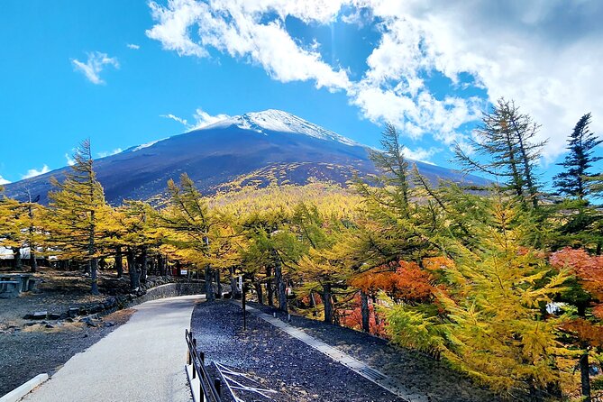 1 Day Private Mount Fuji Tour With English Speaking Driver - Inclusions and Amenities