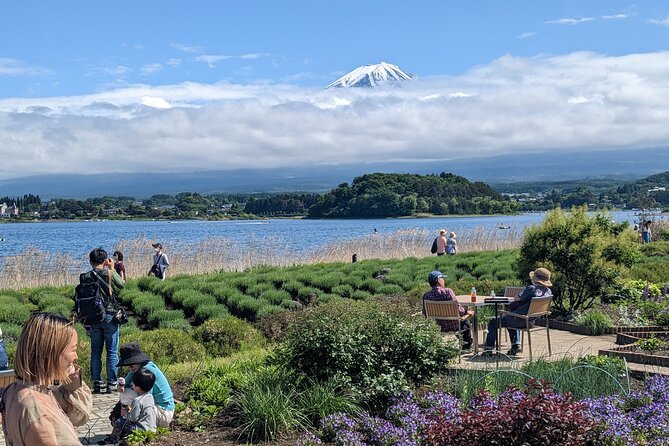 1 Day Private Mt Fuji & Lake Kawaguchiko English Speaking Driver - Itinerary Highlights