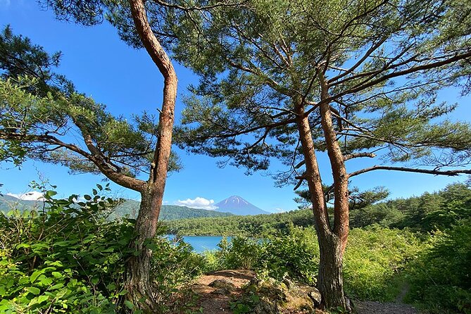 Aokigahara Nature Conservation Full-Day Hiking Tour - Meeting Point and Pickup Details