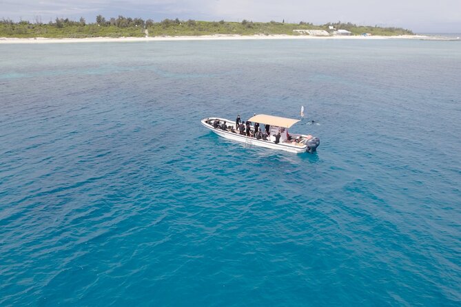 Boat Fundive 2Dives at Minna Isl or Sesoko , Okinawa - Dive Locations: Minna Island and Sesoko