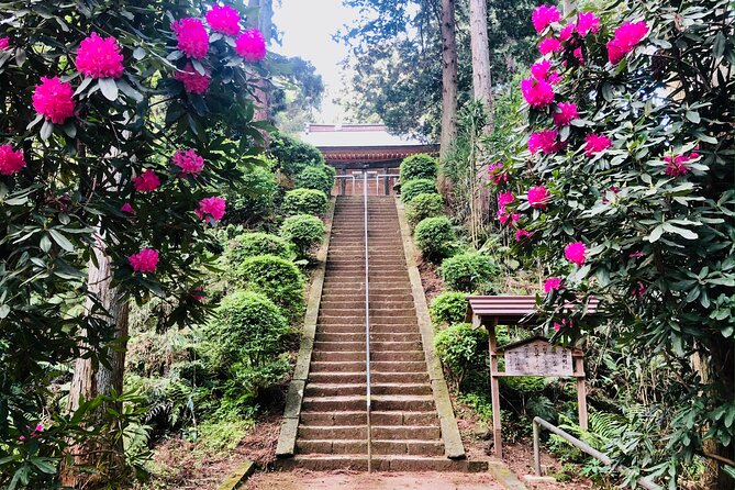 Buddha, Bamboo & Zen - Bespoke Kamakura Private Walking Tours - Whats Included in Your Tour