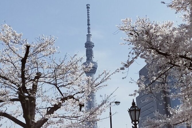 Cherry Blossom Highlights, Asakusa, Ueno, Imperial Palace Garden - Exploring Asakusas Senso-ji Temple