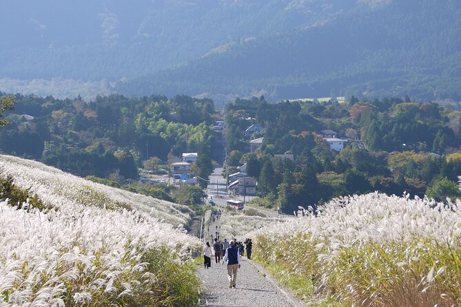 Easygoing Nature Walk in Hakone Tour - Tour Highlights