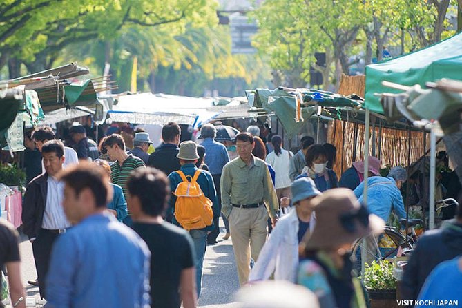 Experience the Energy of Kochi: Sunday Market Tour Includes Kochi Castle - Explore the Historic Kochi Castle