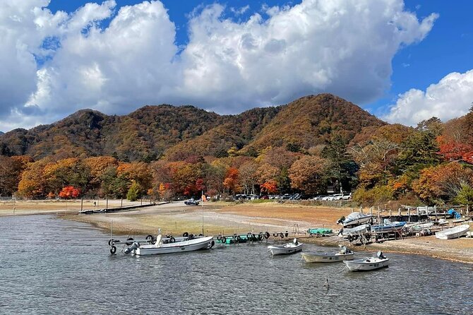 Full Day Nikko Private Tour With English Speaking Guide. - Itinerary Details