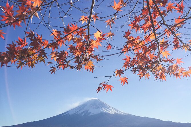 Full Day Private Tour to Mt Fuji by Luxury Vehicle - Luxury Vehicle Features