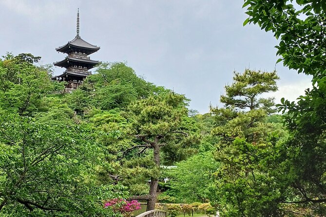 Guided History & Nature Exploration in the Yokohama Hill Area - Itinerary and Schedule