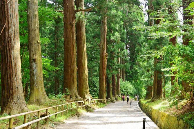 Hiraizumi Half-Day Private Trip With Government-Licensed Guide - Itinerary and Customization Options