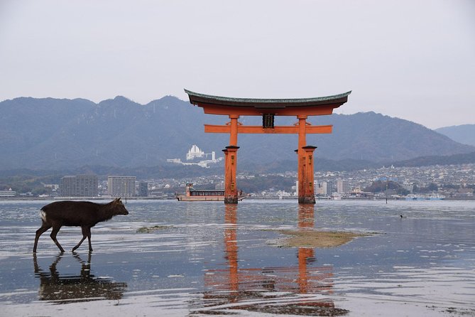 Hiroshima Custom Private Walking Tour With Licensed Guide (4/7h) - Inclusions and Benefits