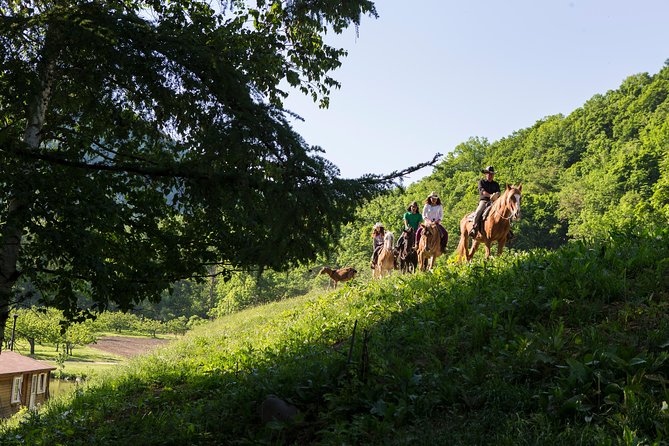 Horseback-Riding in a Country Side in Sapporo - Private Transfer Is Included - What to Expect