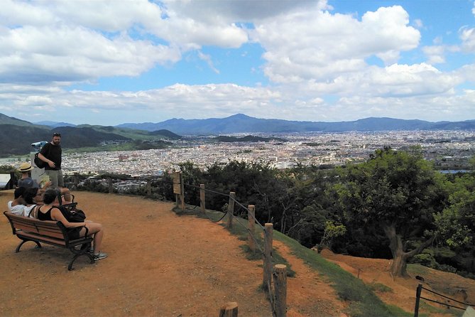 Kyoto Arashiyama & Golden Pavilion One Day Fulfilling Tour - Exploring the Bamboo Forest