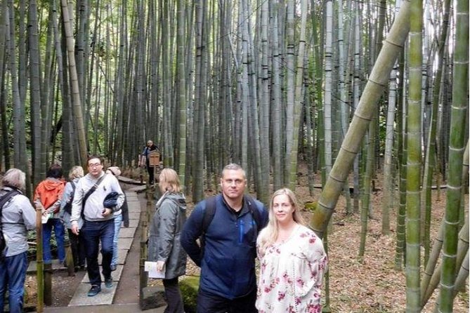 Kyoto Japanese Garden Lovers Private Tour With Government-Licensed Guide - Group Size and Accessibility