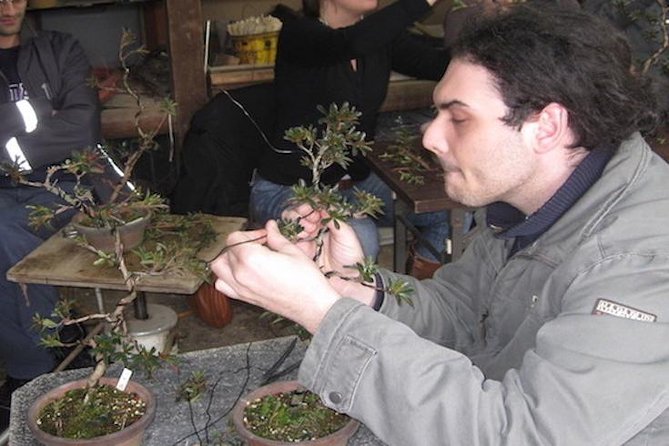 Make Your Own BONSAI With a Professional Artist in Tokyo - Workshop Experience