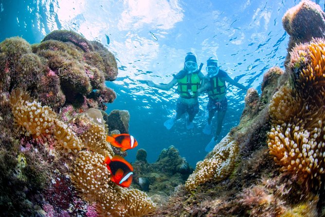 Miyakojima / Snorkel Tour to Enjoy Coral and Fish - Meeting and End Points