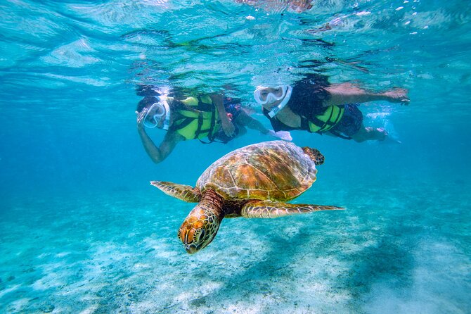 Miyakojima / Snorkel Tour to Swim With Sea Turtles - Meeting Point Details