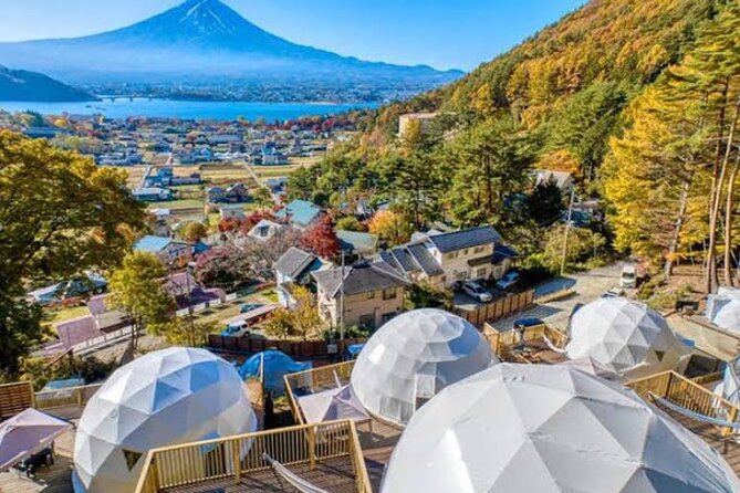 Mount Fuji and Hakone Private Tour With English Speaking Driver - Itinerary Highlights