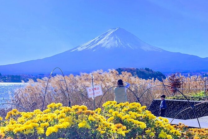 Mount Fuji Private One Day Tour With English Speaking Driver - Itinerary Highlights