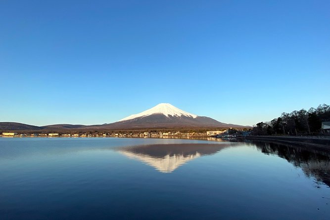 Mt Fuji Full-Day Tour By Car - Tour Highlights