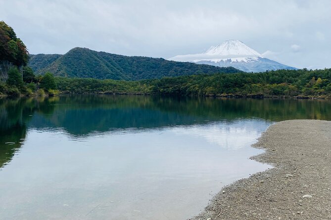 Mt.Fuji Hakone Private Tour With English Speaking Chauffeur - Inclusions and Amenities