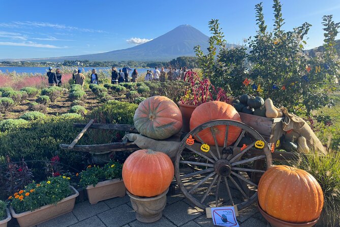 Mt. Fuji & Hakone Pvt. Day Tour With Pick & Drop. - Customer Experiences