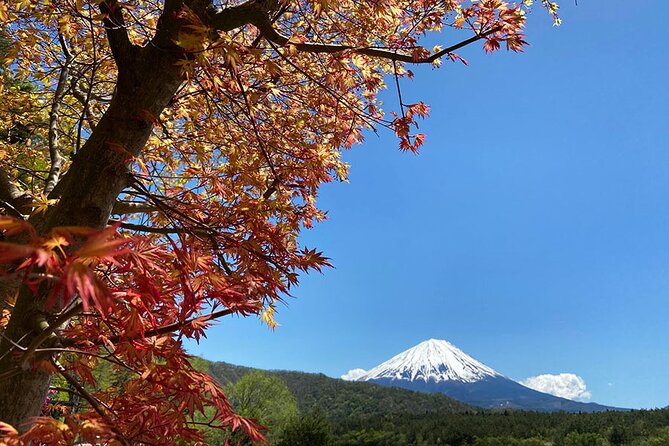 Mt Fuji Japanese Crafts Village and Lakeside Bike Tour - What to Expect