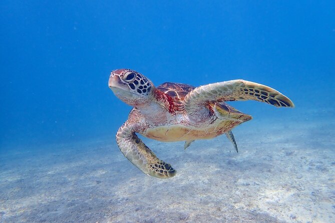 [Okinawa Miyako] [1 Day] Superb View Beach SUP / Canoe & Tropical Snorkeling !! - Meeting Point Details