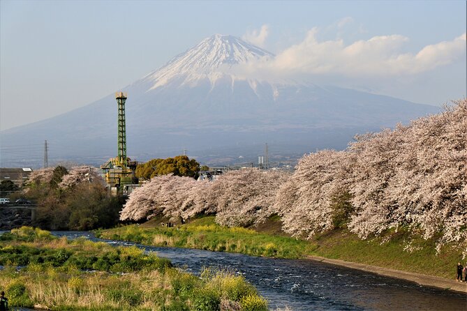 Private Car for Mt. Fuji 5th Station and More (Customizable) - Itinerary for Mt. Fuji Visit