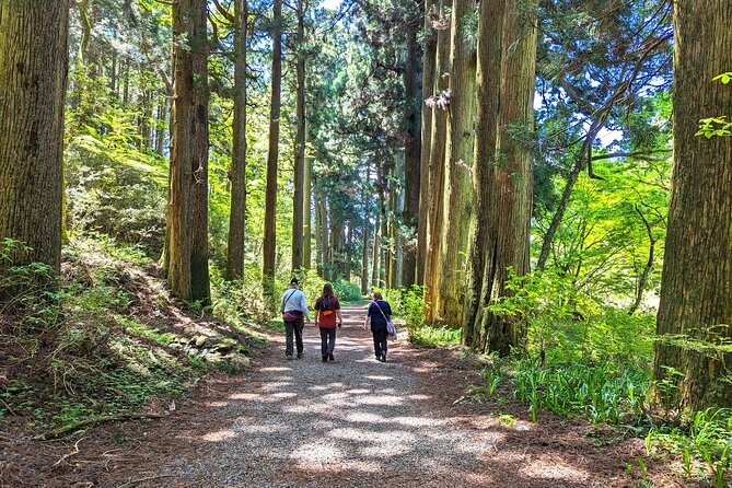 Private Hakone Tour - View of Mt. Fuji, Nature and Culture - Transportation Details