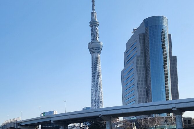 Private Tokyo City Day Tour With English Speaking Driver - Highlights of the Experience