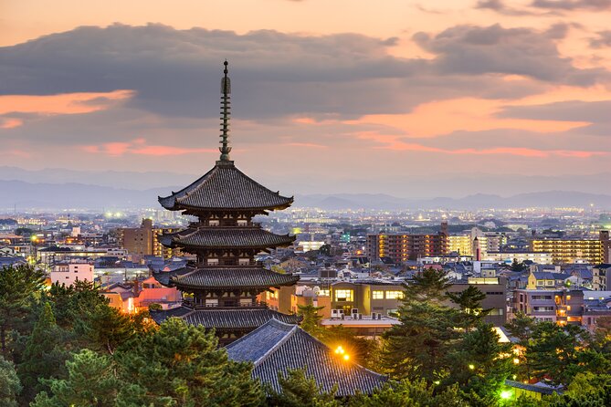 Private Tour to Nara From Osaka With English Speaking Driver - Whats Included in the Package