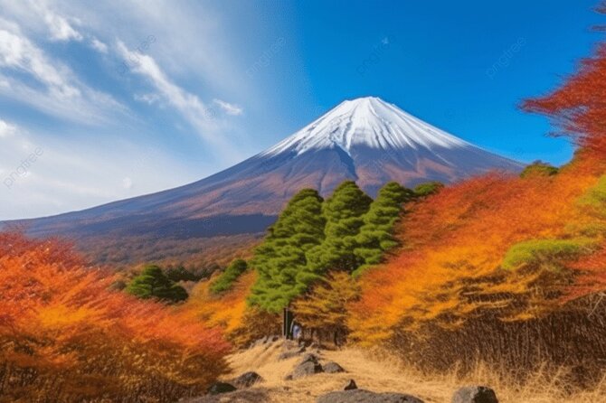 Private Transport Mt Fuji and Hakone 1 Day Trip - Pricing and Booking Details