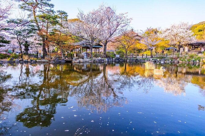 Private & Unique Kyoto Cherry Blossom Sakura Experience - Highlights of the Tour