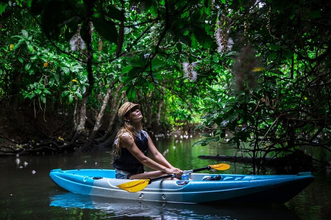 Sagaribana SUP / Canoe Tour Early in the Morning (Limited From June to August) - Location and Meeting Point