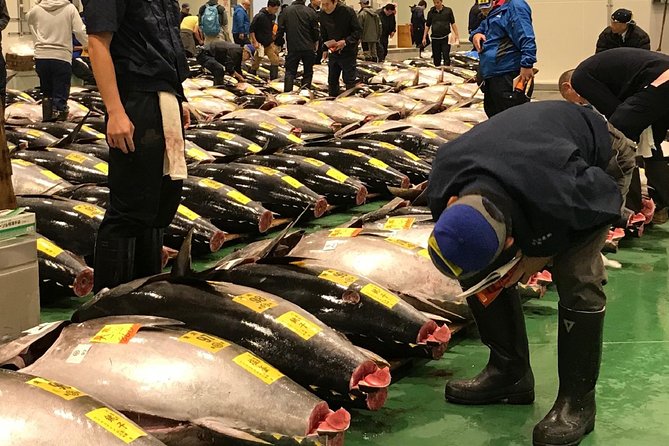 Tuna Auction and Market Tour at Activity Maison Kissako - Exclusive Auction Access