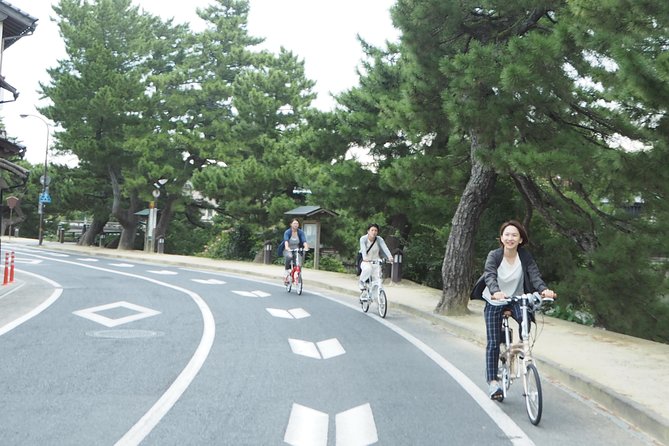 An E-Bike Cycling Tour of Matsue That Will Add to Your Enjoyment of the City - Special Treats Along the Route