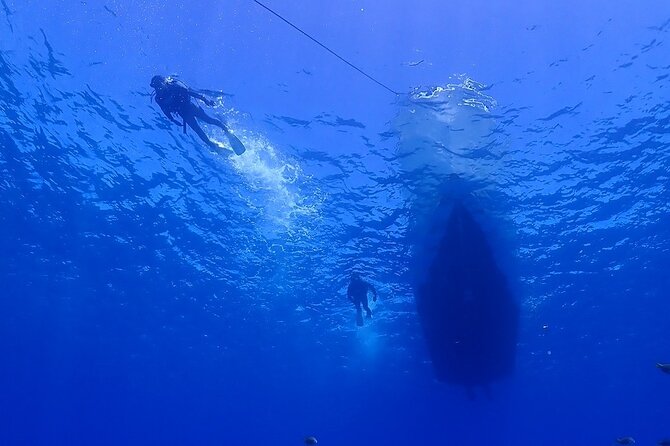 Boat Fundive 2Dives at Minna Isl or Sesoko , Okinawa - Whats Included in the Package