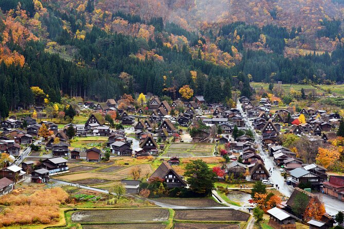 Day Trip for Shirakawago ,Takayama & Gujo Hachiman From Nagoya - Accessibility Information